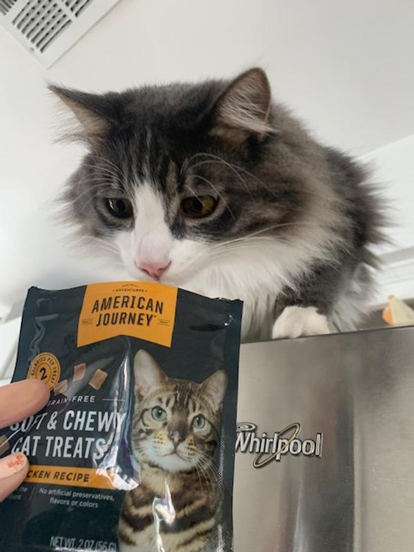 AMERICAN JOURNEY Chicken Flavor GrainFree Soft & Chewy Cat Treats 2oz bag bundle of 2