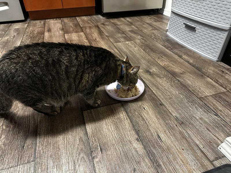 Quigley sampled it but didn’t care for it.