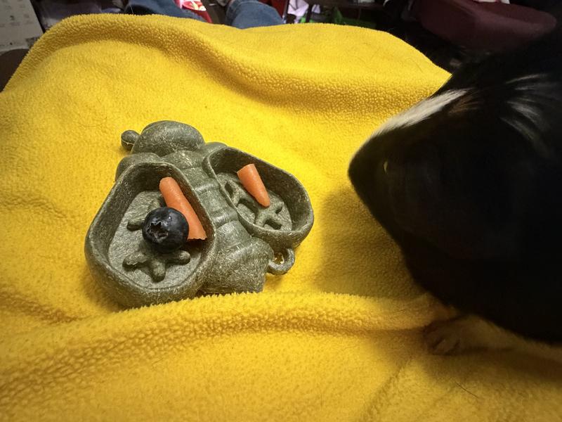 2 piggies approved