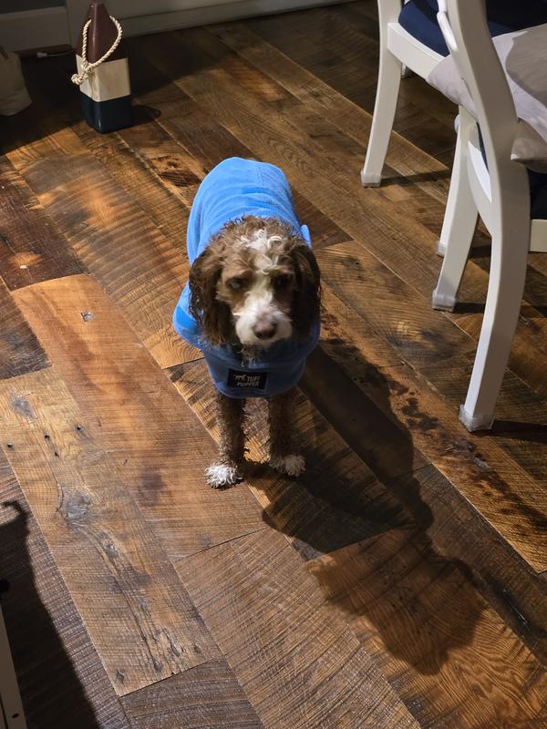 Stella - Time to dry!