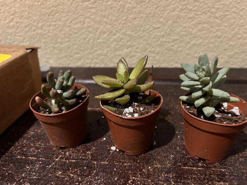 Right out of the package