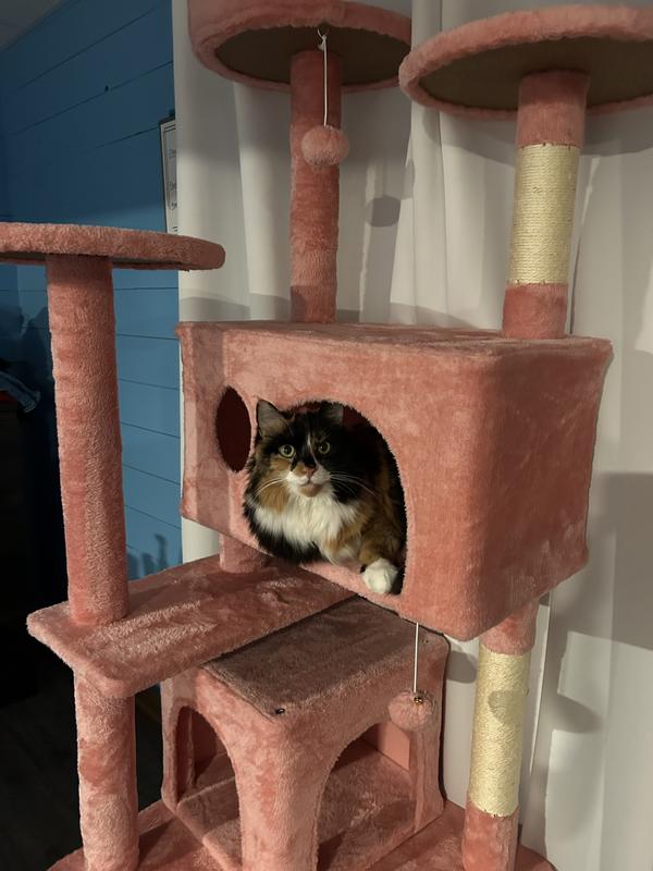 Washburne approved ✅