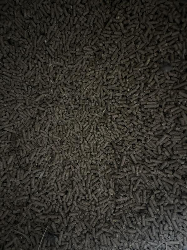 Easy pellets to feed