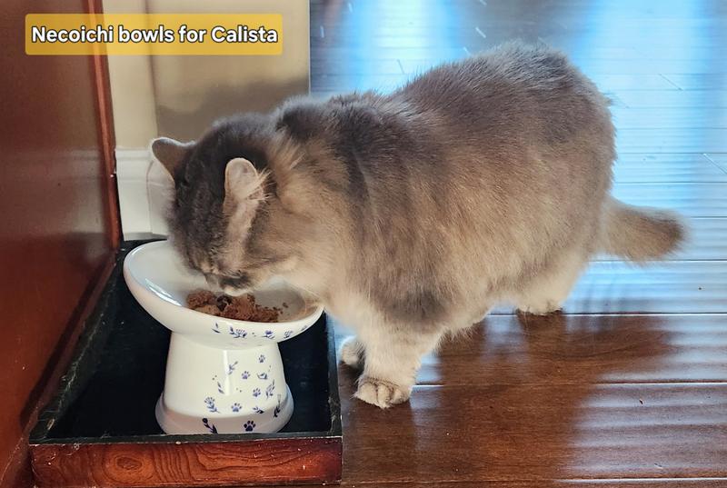 Delectable gourmet meal