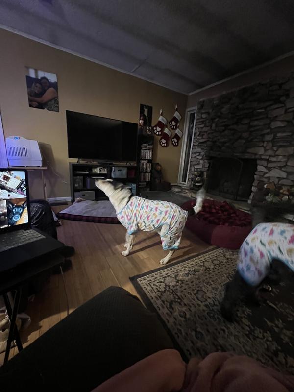 1 and 1/2 of the other 2 crazies! LOL