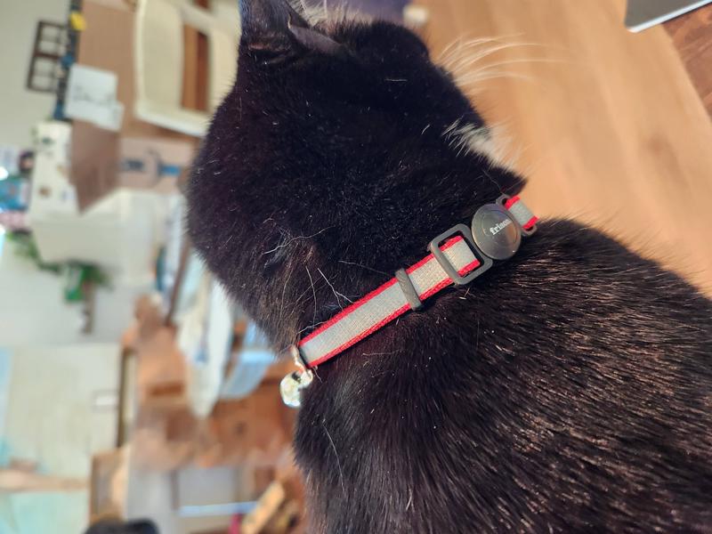 Frisco Diamonds & Dots Cat Collar