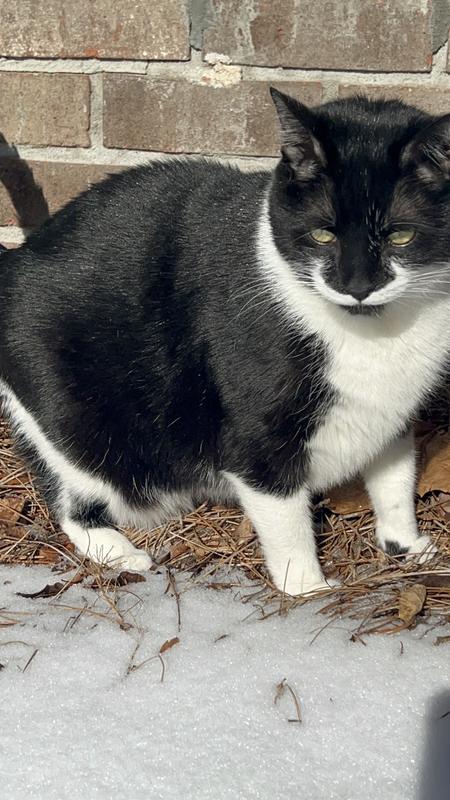 Pierre