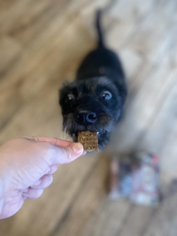 Merrick Beef Training Dog Treats