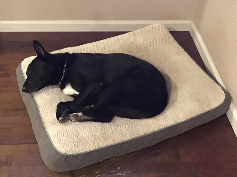 FRISCO Plush Orthopedic Pillow Dog Bed with Removable Cover, Gray, X