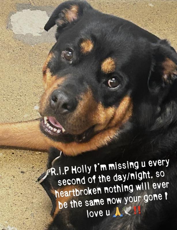 Diabetes - get blood glucose reader !