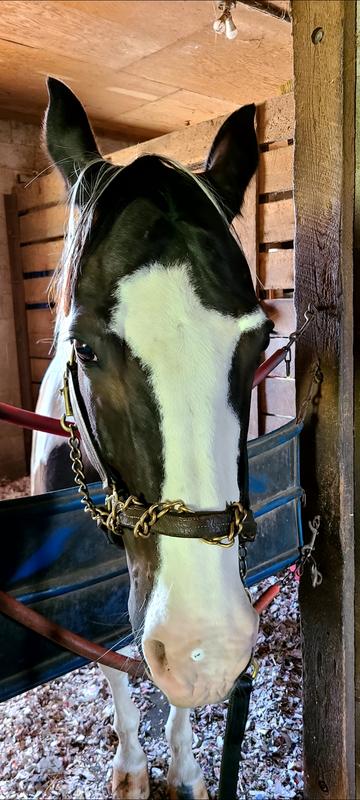 Ready to try and rub it off in the grass