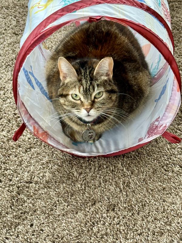 Lily says MINE