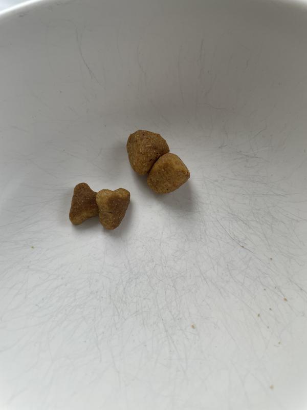 Flatter kibble is new and improved, my cat likes it