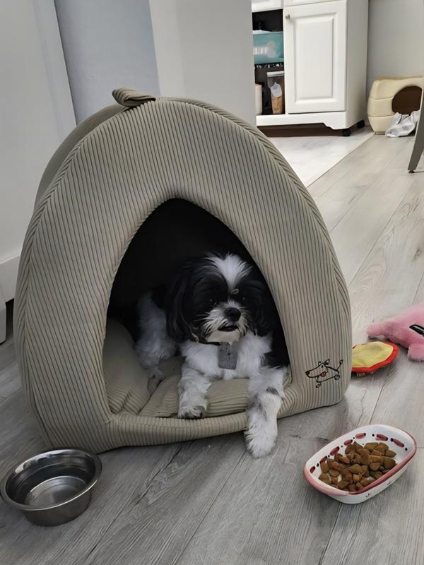 She loves hanging out in her new home!