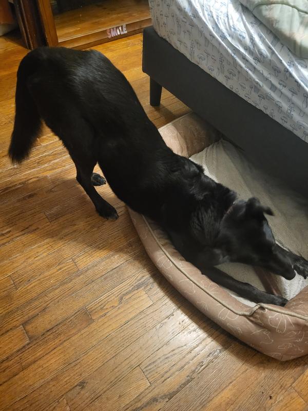 Perfect fit to hold and chew! No slipping!