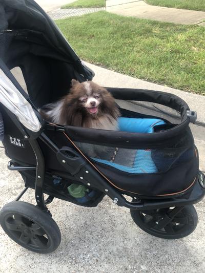 Pet gear at3 clearance stroller