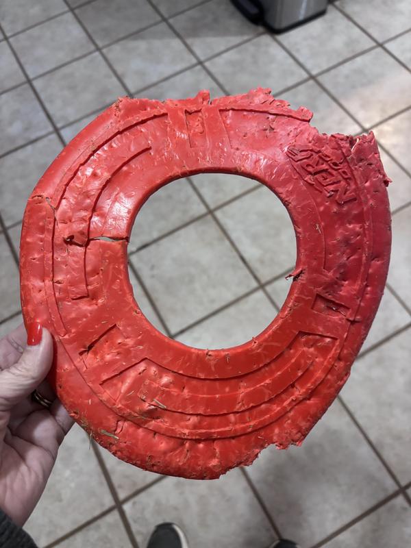 RIP Nerf Dog frisbee