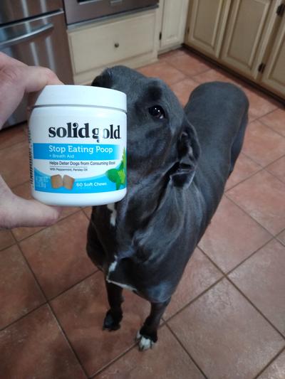Solid gold stop eating poop chews hotsell