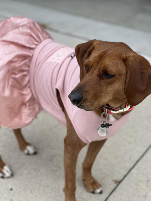 Pawty Girl