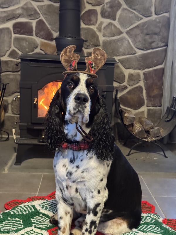 It’s his Christmas picture!