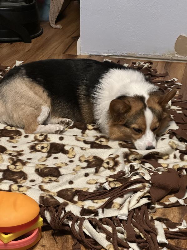 Fiona in her rare sleeping position