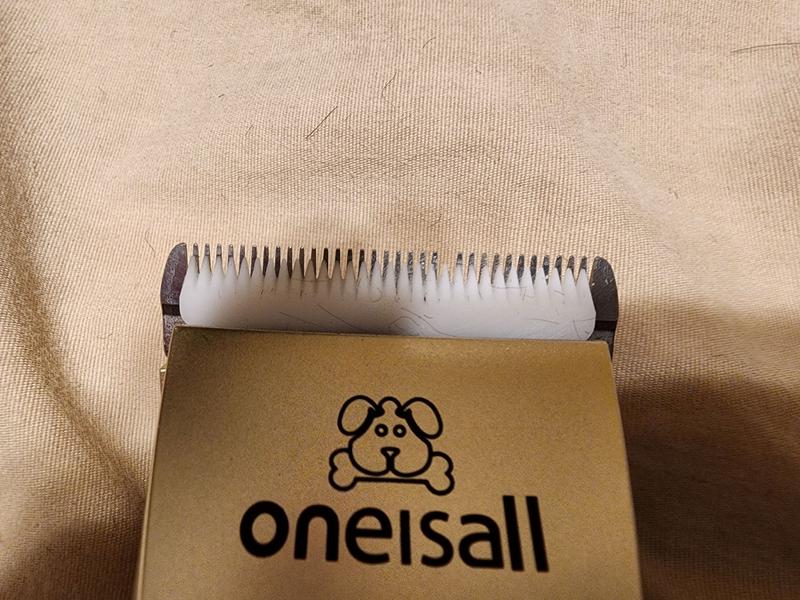 Broken tooth on blade from front