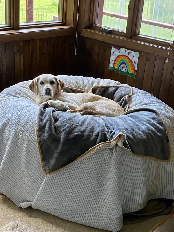 Sugar Cookie living her best life!