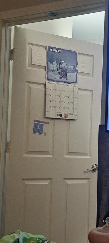 Great quality, heavy matte paper, gold star artwork