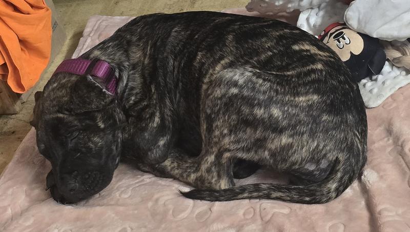 She went from 14lbs to 20lbs in a week