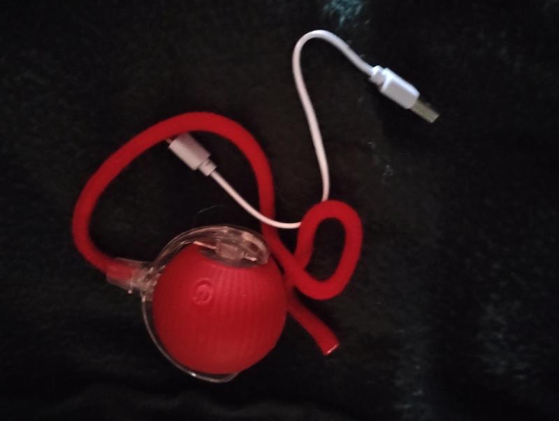 What the ball comes with in the box.