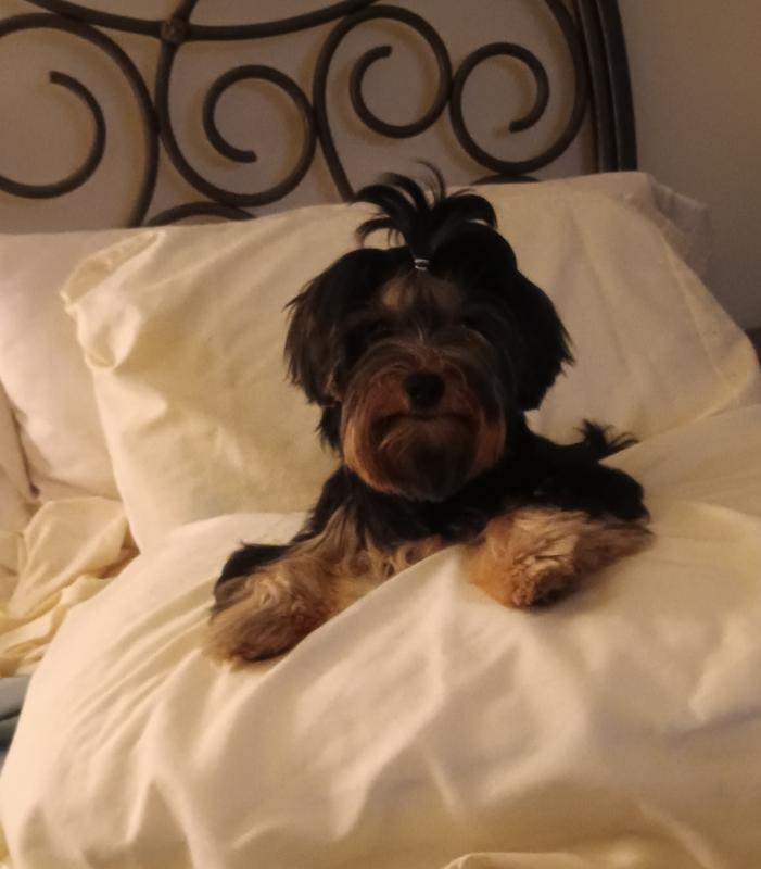 Looking for next box