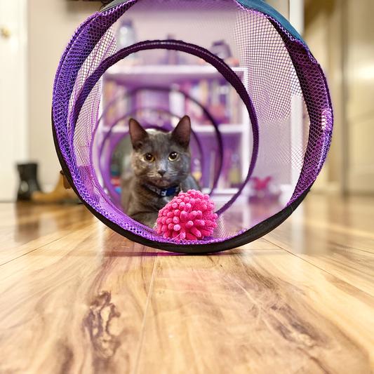 Jackson galaxy cat crawl tunnel best sale