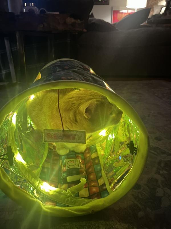 Joey hanging out in his rave tunnel.