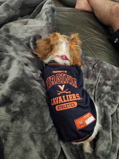 Pets First Seattle Mariners Dog T-shirt