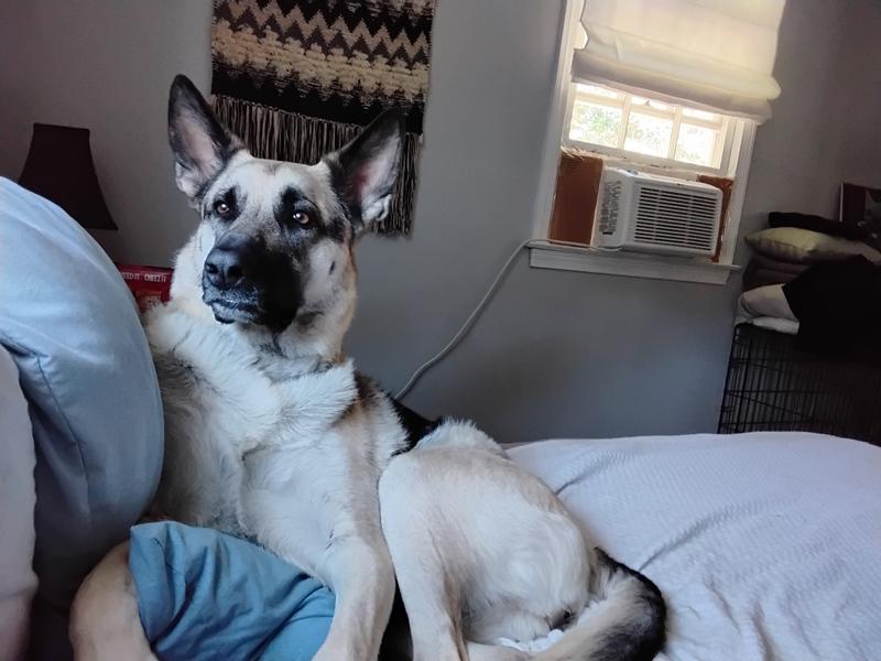 Hanging out with Mom