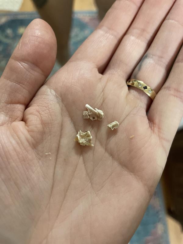Bones in my hand