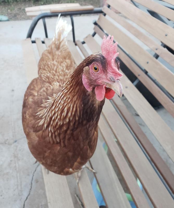 Ready for breakfast!