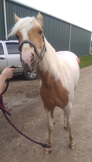 Looking shiny and clean!