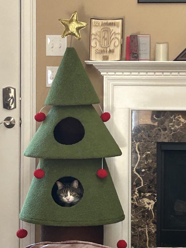 Tuukka’s new hiding spot,