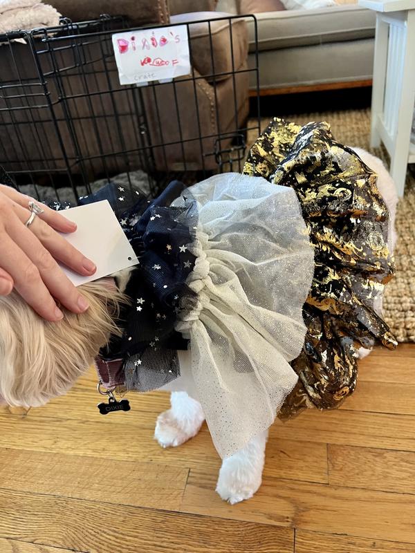 Frisco Wizard Dog & Cat Costume