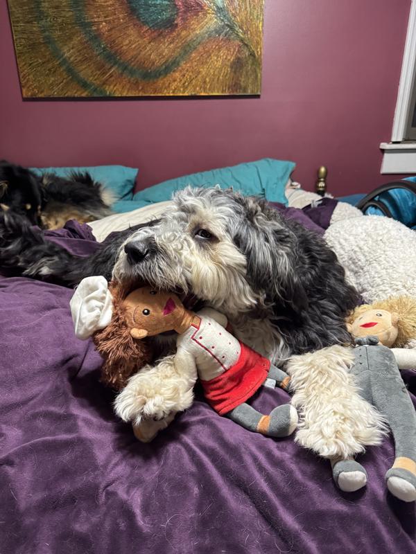 ALFIE and OLLIE loved their new toys!