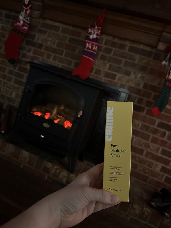 to be found under the tree