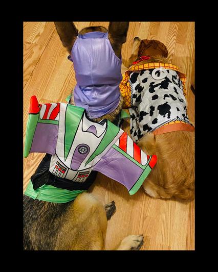 Xxxl Dog Costume Deluxe Woody Toy Story Dog Costume Pet Costume