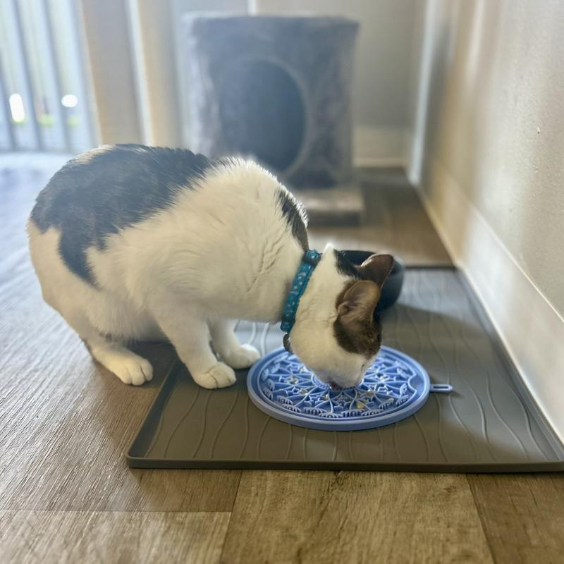 FRISCO Silicone Dog & Cat Food Mat, Gray, Medium - Chewy.com