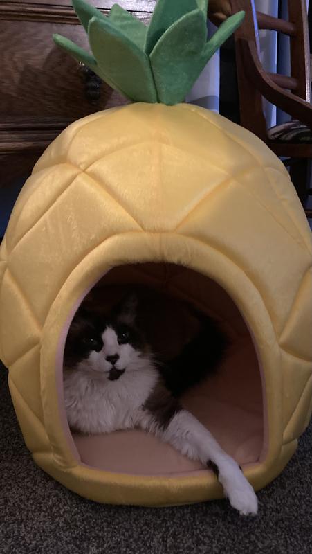 Pineapple shop cat bed