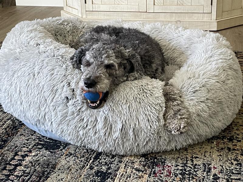 WEEWEE Wire Rake Scooper for Grass