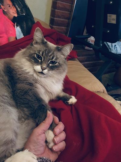Tommy holding hands