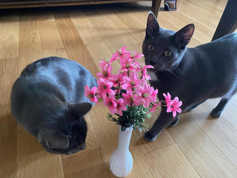 Smelling the flowers