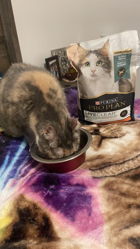 She likes it