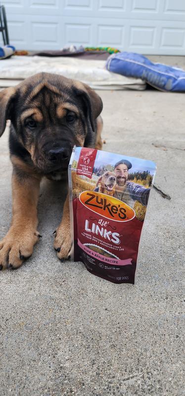 Puppy training treats